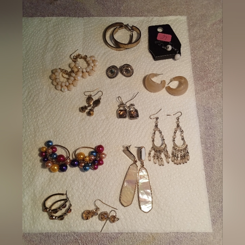 Elegant Multi-Color Beaded Earrings